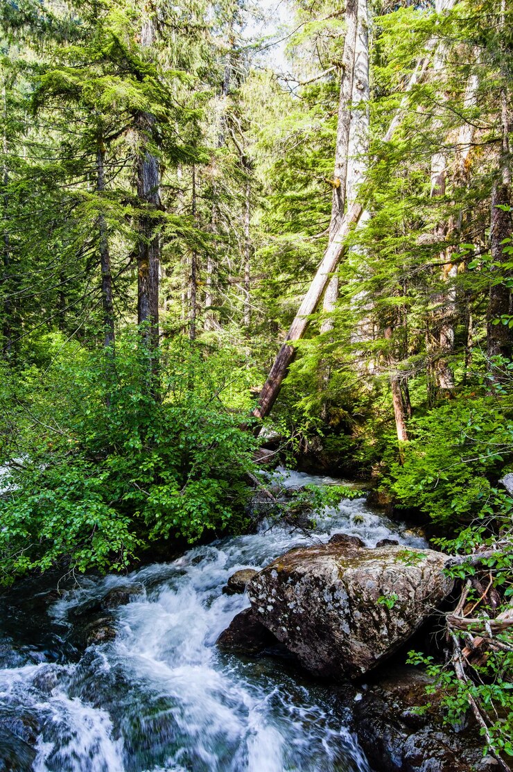 Foto een schilderachtig uitzicht op de waterval