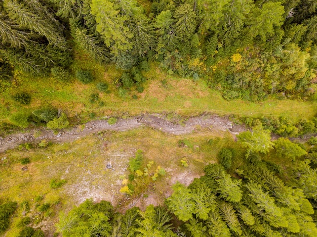 Een schilderachtig uitzicht op een beek in het bos