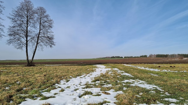 Foto een schilderachtig uitzicht op een besneeuwd veld tegen de hemel in de winter