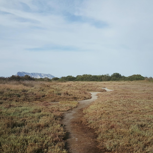 Een schilderachtig uitzicht op een droog veld tegen de lucht