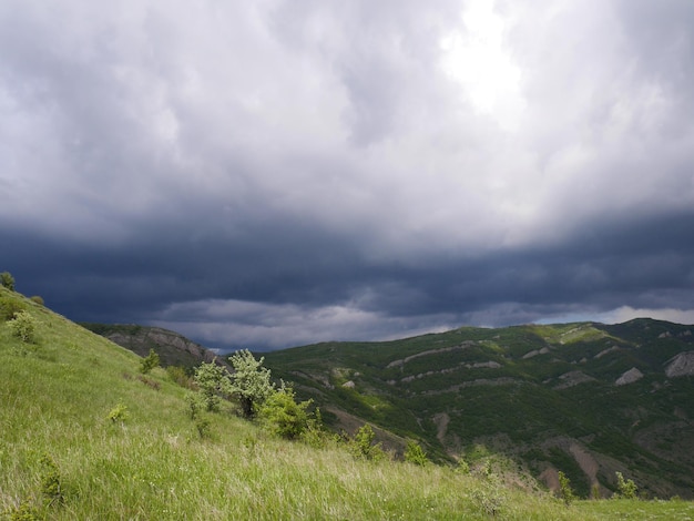 Een schilderachtig uitzicht op een grasrijke berg tegen een bewolkte lucht