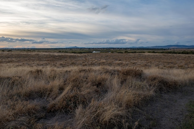 Een schilderachtig uitzicht op een grasveld tegen de hemel bij zonsondergang