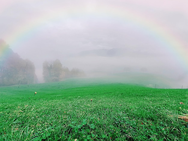 Een schilderachtig uitzicht op een grasveld tegen de lucht