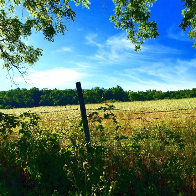 Een schilderachtig uitzicht op een grasveld tegen de lucht