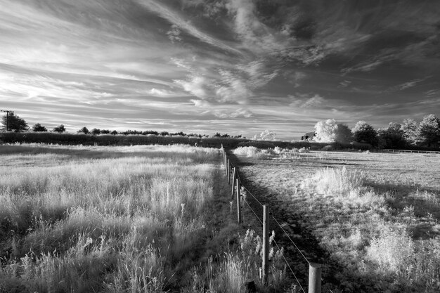 Foto een schilderachtig uitzicht op een grasveld tegen de lucht