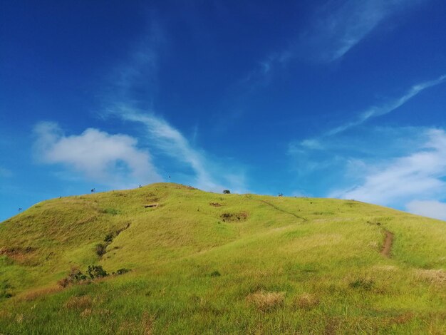 Foto een schilderachtig uitzicht op een grasveld tegen de lucht