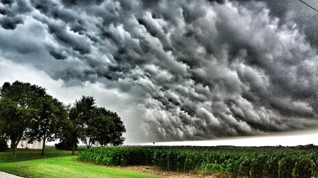 Een schilderachtig uitzicht op een grasveld tegen een bewolkte lucht