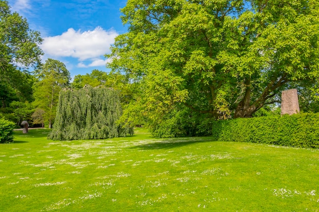 Een schilderachtig uitzicht op een grasveld tegen een bewolkte lucht