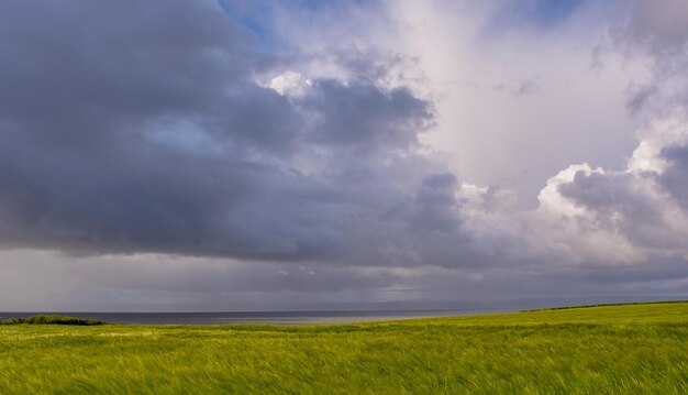 Foto een schilderachtig uitzicht op een grasveld tegen een bewolkte lucht