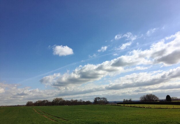 Een schilderachtig uitzicht op een grasveld tegen een bewolkte lucht