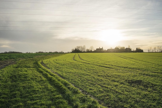 Een schilderachtig uitzicht op een grasveld tegen een bewolkte lucht