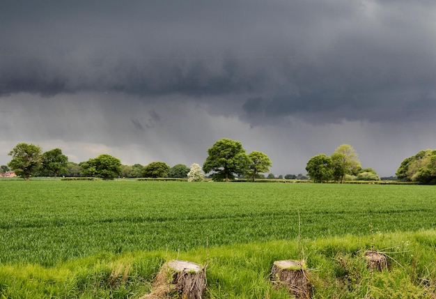 Een schilderachtig uitzicht op een grasveld tegen een bewolkte lucht