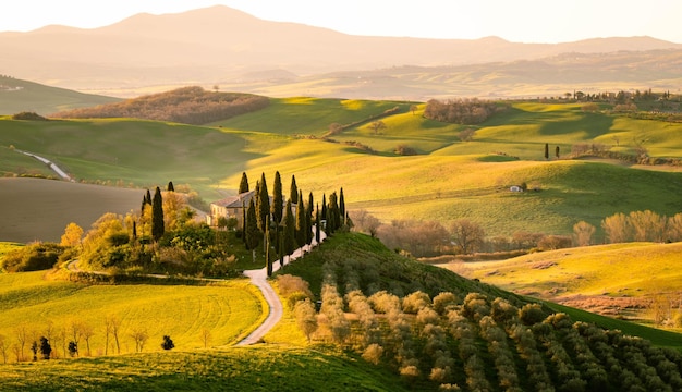 Een schilderachtig uitzicht op een landbouwveld tegen de bergen in Toscane