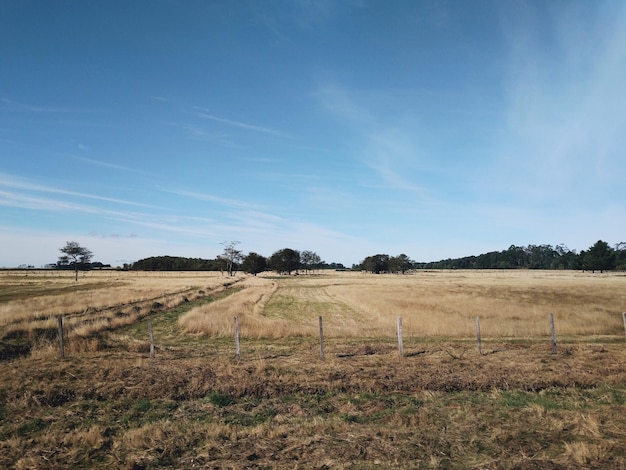 Foto een schilderachtig uitzicht op een landbouwveld tegen de lucht