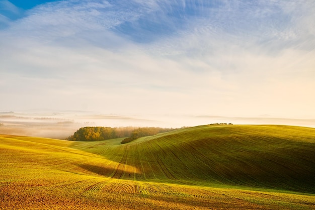 Een schilderachtig uitzicht op een landbouwveld tegen de lucht