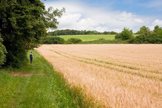 Een schilderachtig uitzicht op een landbouwveld tegen de lucht