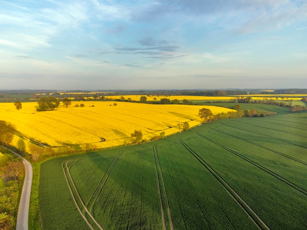 Een schilderachtig uitzicht op een landbouwveld tegen de lucht