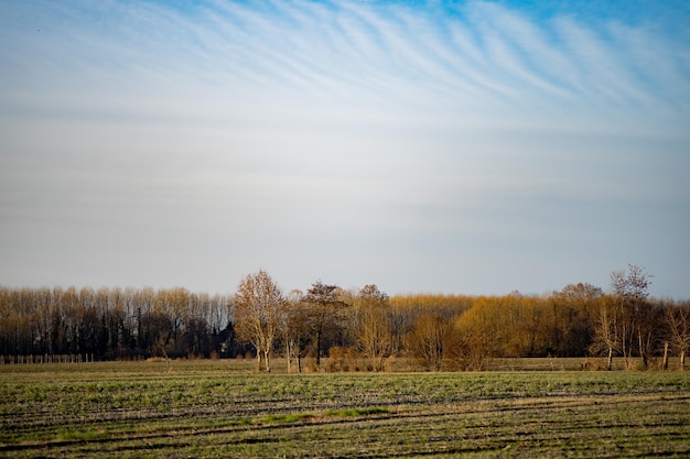 Een schilderachtig uitzicht op een landbouwveld tegen de lucht