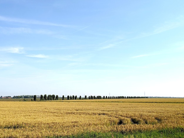 Een schilderachtig uitzicht op een landbouwveld tegen de lucht
