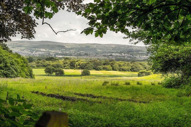 Foto een schilderachtig uitzicht op een landbouwveld tegen de lucht