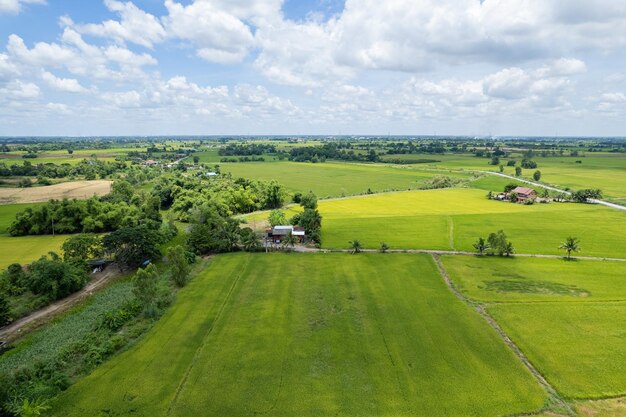 Foto een schilderachtig uitzicht op een landbouwveld tegen de lucht