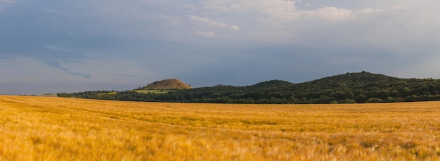 Foto een schilderachtig uitzicht op een landbouwveld tegen de lucht