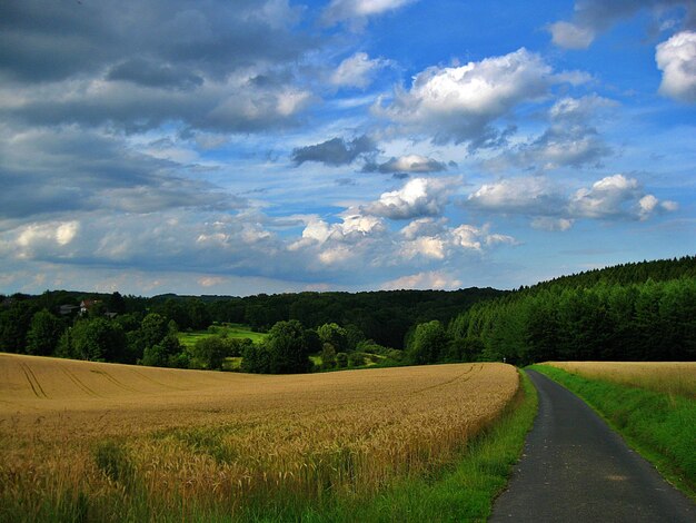 Foto een schilderachtig uitzicht op een landbouwveld tegen de lucht