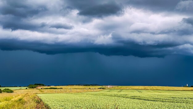 Foto een schilderachtig uitzicht op een landbouwveld tegen de lucht