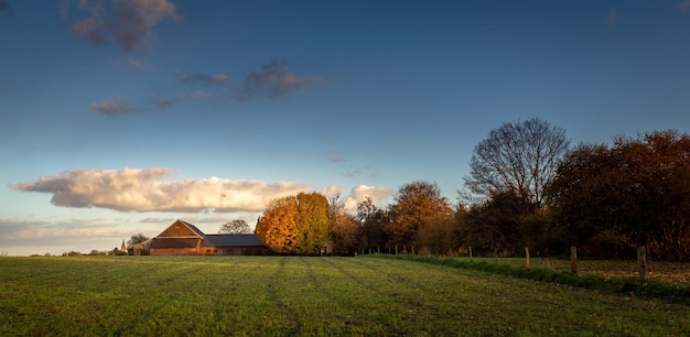 Foto een schilderachtig uitzicht op een landbouwveld tegen de lucht