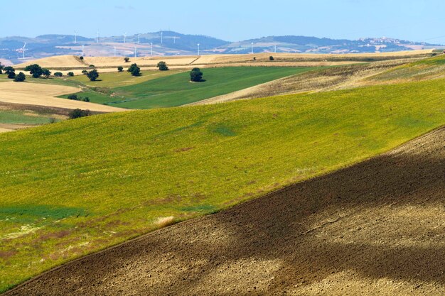 Foto een schilderachtig uitzicht op een landbouwveld tegen de lucht