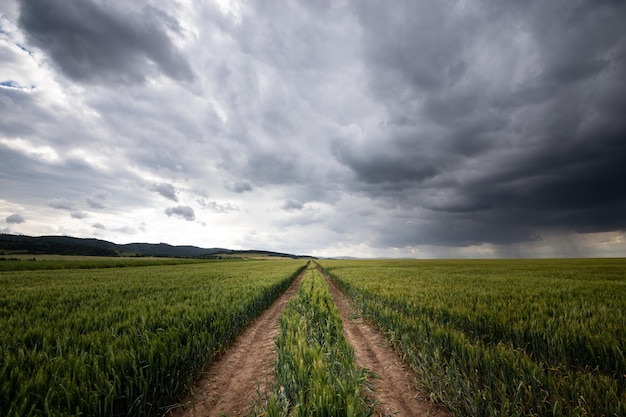 Een schilderachtig uitzicht op een landbouwveld tegen een bewolkte lucht