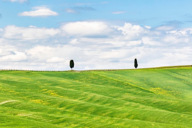 Foto een schilderachtig uitzicht op een landbouwveld tegen een bewolkte lucht