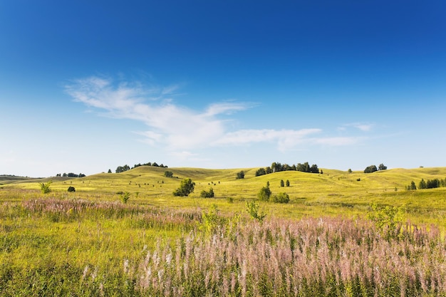 Een schilderachtig uitzicht op een landbouwveld tegen een blauwe hemel