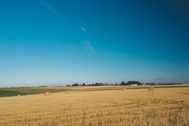 Foto een schilderachtig uitzicht op een landbouwveld tegen een blauwe hemel