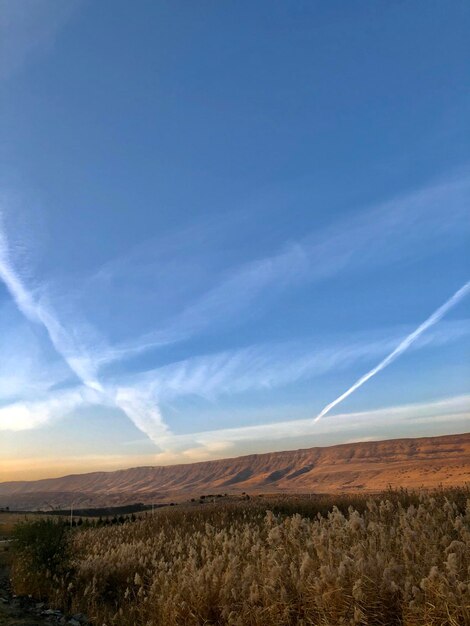 Foto een schilderachtig uitzicht op een landbouwveld tegen een blauwe hemel