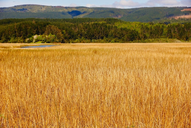 Een schilderachtig uitzicht op een landbouwveld tegenover bergen