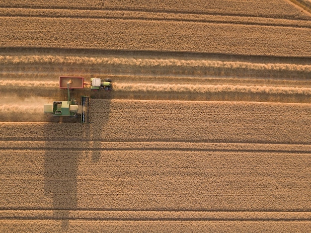 Een schilderachtig uitzicht op een landbouwveld