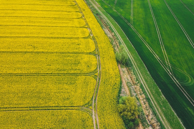 Een schilderachtig uitzicht op een landbouwveld