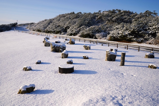 Foto een schilderachtig uitzicht op een met sneeuw bedekt veld tegen de lucht