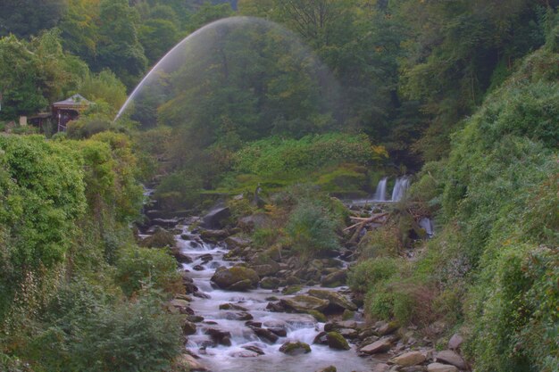 Een schilderachtig uitzicht op een rivier die door rotsen stroomt