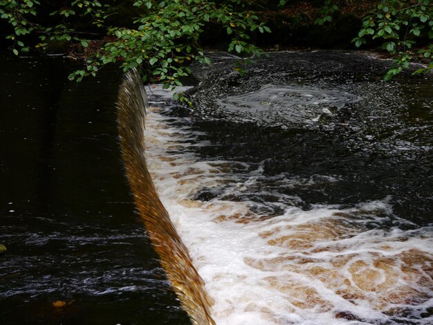 Foto een schilderachtig uitzicht op een rivier die tussen planten stroomt