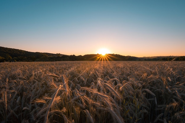 Een schilderachtig uitzicht op een veld tegen de hemel bij zonsondergang