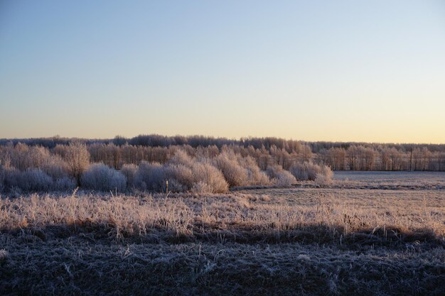 Foto een schilderachtig uitzicht op een veld tegen een heldere hemel in de winter