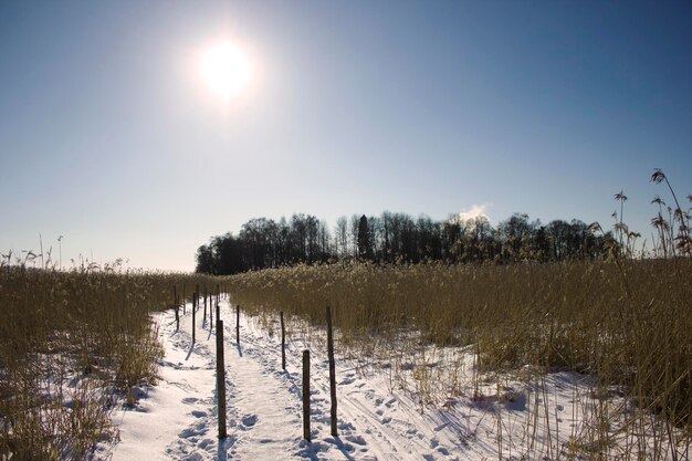 Foto een schilderachtig uitzicht op een veld tegen een heldere hemel in de winter