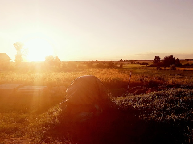 Foto een schilderachtig uitzicht op een veld tegen een heldere lucht bij zonsondergang