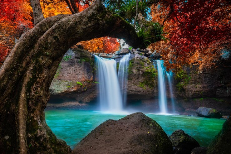 Foto een schilderachtig uitzicht op een waterval in het bos in de herfst