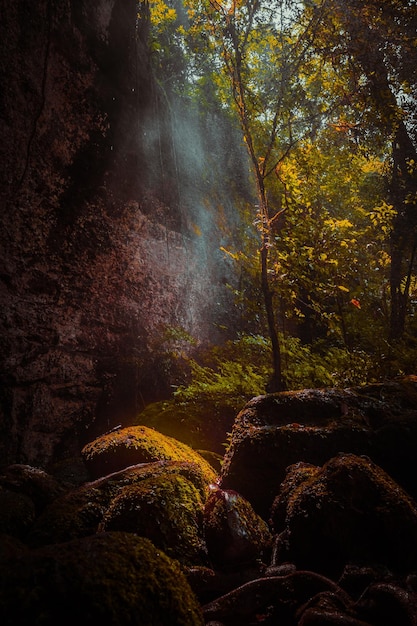 Een schilderachtig uitzicht op een waterval in het bos in de herfst