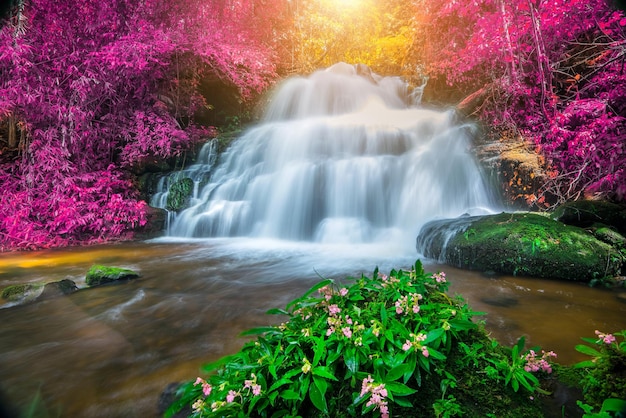 Een schilderachtig uitzicht op een waterval in het bos