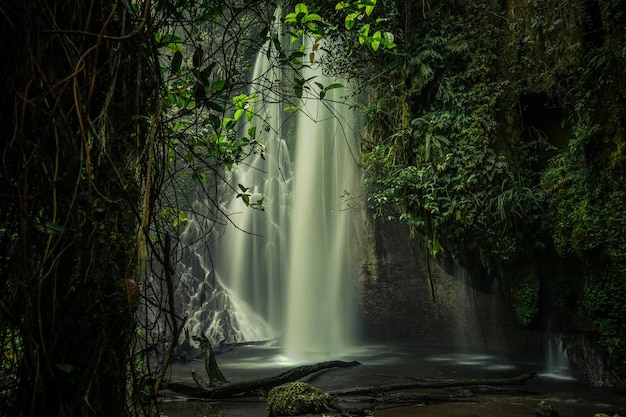 Een schilderachtig uitzicht op een waterval in het bos