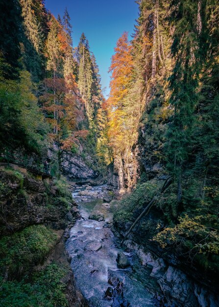 Foto een schilderachtig uitzicht op een waterval in het bos